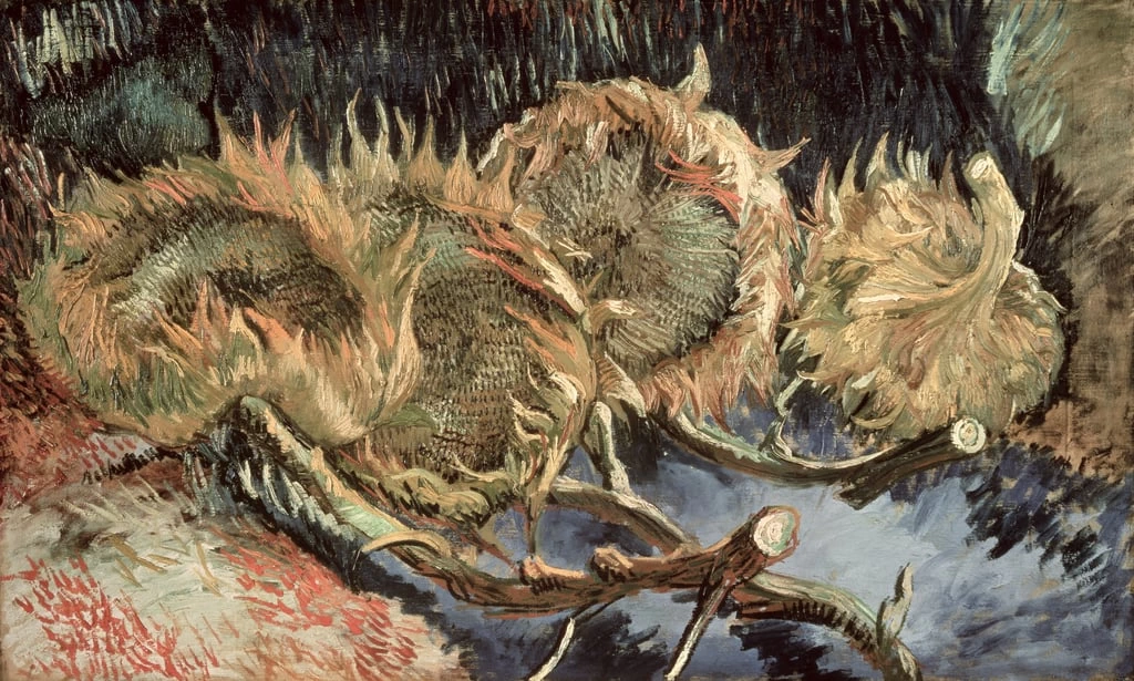 221-Vincent van Gogh-Quattro girasoli appassiti, 1887 - Rijksmuseum Kroller-Muller, Otterlo 